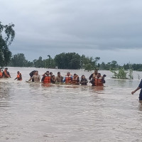 धानको बाला झुले खेतैमा !