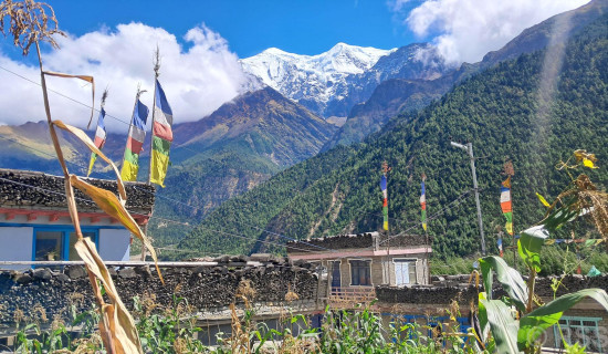 नीलगिरि हिमाल र आसपासको पहाड