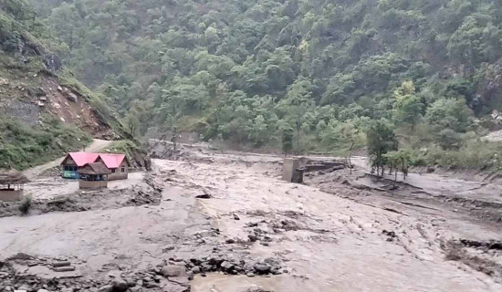 बाढीबाट ऊर्जा र सिँचाइका संरचनामा करोडौँको क्षति
