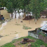 विश्वमा चिनिँदै नेपाली खेलकुद