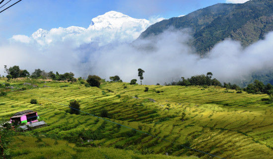 सर्लाही : बाढीबाट १६ सय परिवार बिस्थापित, १९ को उद्धार