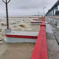 जुनार खेतीमा सुडे पुतलीकाे प्रकोप