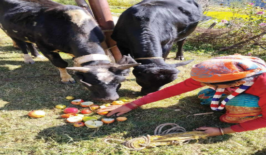 ‘भइयो परदेशी’ सार्वजनिक