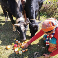 नेपालको गौरव राष्ट्रिय पत्रकारिता दिवस