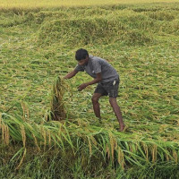 नेपालको गौरव राष्ट्रिय पत्रकारिता दिवस