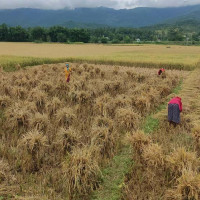विपत् कोषमा  छ अर्ब ७९ करोड
