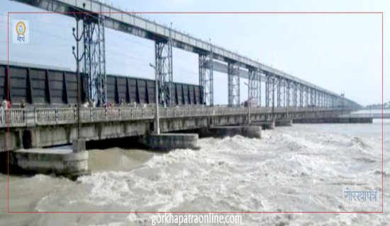 वर्षा रोकिएसँगै सप्तकोशी नदीको वहाव घट्दो
