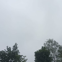 अमेरिकाले वार्षिक करिब १० लाख मानिसलाई फिर्ता पठाउने