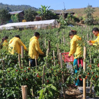 विद्युत् व्यापारमा निजी क्षेत्रलाई ढोका खुल्दै