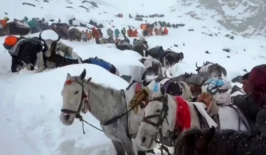 हिम आँधीले सगरमाथामा सयौँ पर्वतारोही फसे, उद्धार जारी