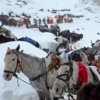 धुर्कोटमा भाेलि सार्वजनिक बिदा