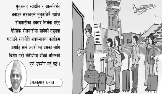 अमेरिकामा भानुभक्तको योगदानको चर्चा