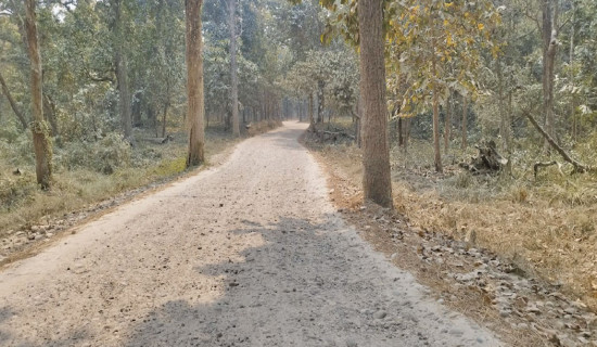 नौ वर्षदेखि विद्युत्को समस्या उस्तै