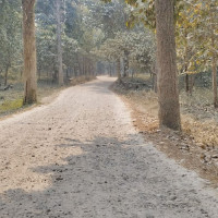 बाली जोगाउन कृषकलाई विज्ञको सल्लाह