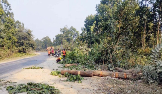 आयोगप्रति युवाको ठुलो भरोसा छ : अध्यक्ष रेग्मी
