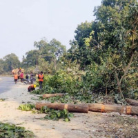 कञ्चनरुपमा वेवारिसे अवस्थामा शव फेला