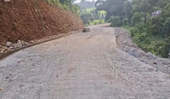 जुम्लामा भालुको आतङ्क, पाँच जना घाइते