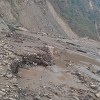 ७५ जिल्लामा पाँच हजारभन्दा बढीमा डेङ्गु पुष्टि