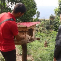 पाथीभरा क्याम्पसमा पूर्व विद्यार्थी मञ्च गठन