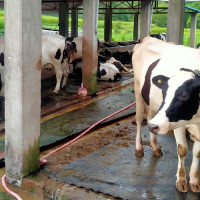 बेँसीसहरको कार्यपालिका सदस्यहरु निर्विरोध
