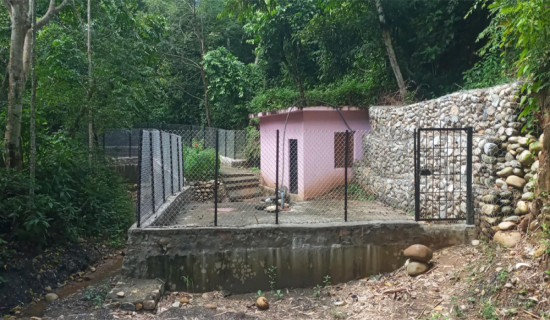 दुई करोडभन्दा बढीका खसीबोका बिक्री