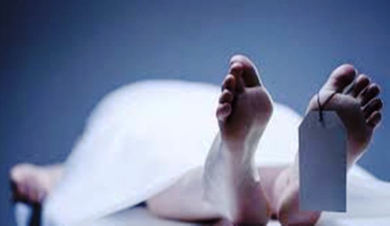 टाइफुन मत्मोका कारण भियतनाममा आठ जनाको मृत्यु