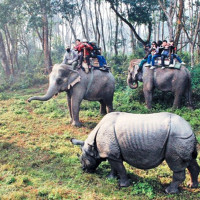 नेपालसमक्ष तेस्रो पटक टी–२० विश्वकप खेल्ने अवसर
