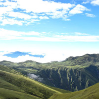 गाईपालनबाट मनग्य आम्दानी