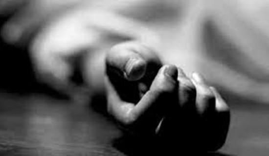 पाकिस्तानमा हिंसाबाट नौ सयभन्दा बढी नागरिकको मृत्यु, मृत्युदरमा तीव्र वृद्धि