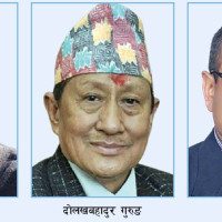 एलपी ग्यासमा दुई थरी  मूल्य तोक्ने तयारी