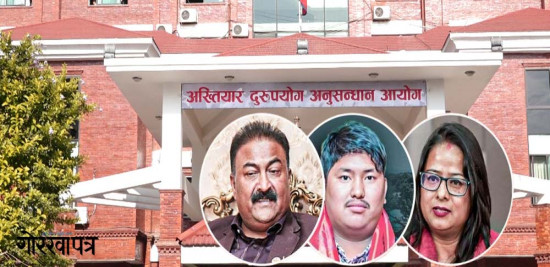 पोखराको लिचीबारी जग्गा प्रकरण : कोमाथि के आरोप, घटना के हो  ?