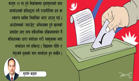 निर्वाचन नै राजनीतिक निकास