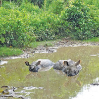 हमासद्वारा बन्धक बनाइएका विपिन जोशीको भिडियो सार्वजनिक