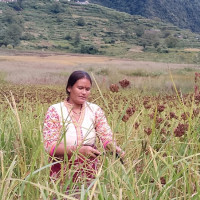 कृषि क्षेत्रको प्रवद्र्धनले मात्र अर्थतन्त्र समृद्ध हुने