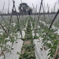 महिनावारी विभेदविरुद्ध अभियान