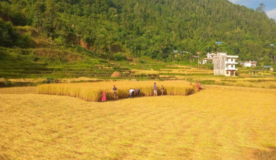 जलवायु परिवर्तनको सजाय मुस्ताङले भोग्दैछ : अध्यक्ष लालचन