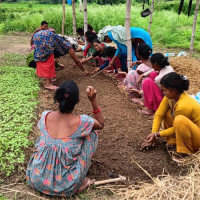 परिषद्को सम्पत्तिमा व्यवसायीको मनोमानी