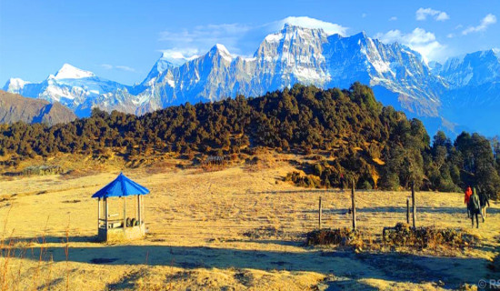 सडक नखुल्दा जलजला पुग्न पाएनन् पर्यटक