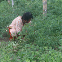 सम्पदा पुनर्निर्माण गर्न चार अर्ब अपुग