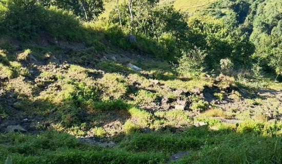 हराएका १९८ वटा मूर्ति फिर्ता