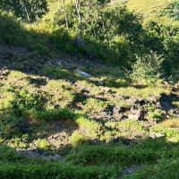 परिषद्को सम्पत्तिमा व्यवसायीको मनोमानी