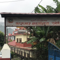 जिप दुर्घटनाले घाइते महिलाको मृत्यु