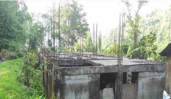 विश्व फोटोग्राफी दिवसको अवसरमा फोटो प्रदर्शनी