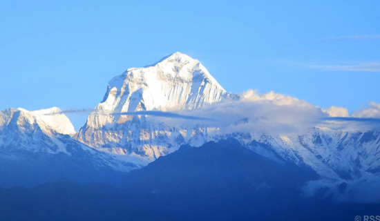 नवलपुर–१ को प्रदेश (क) मा कांग्रेस सभापति जिसी विजयी