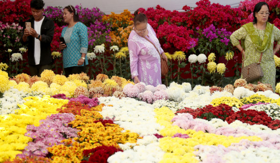 विश्वव्यवस्थामा नयाँ समीकरण