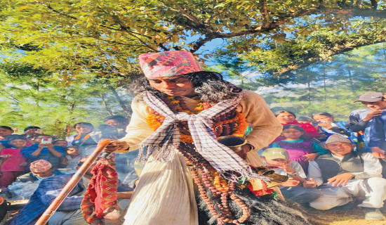 धामी नाचका लागि तातो तेल पिउने चलन