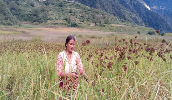 संविधानले तोकेको जिम्मेवारी पूरा गर्न आयोग तत्पर छ : आयुक्त तुलाधर
