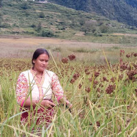 लायन्स क्लबद्वारा ब्लड बैङ्क स्थापना