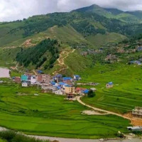 बिमाको औषधी पाउनै मुस्किल