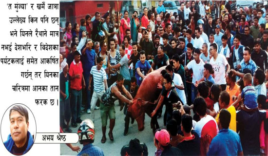 भक्तपुरका दुई उत्सव